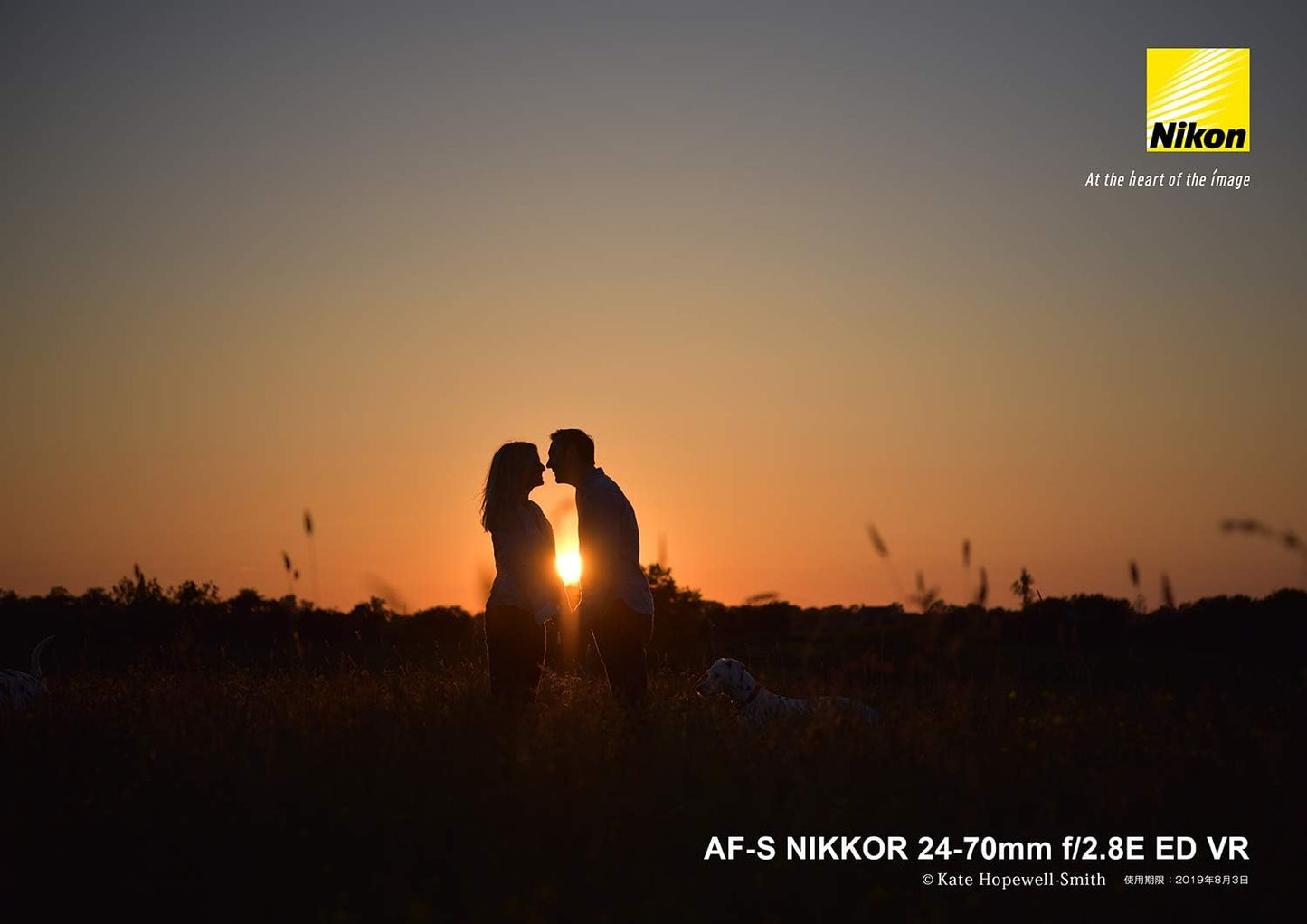 Nikon 標準ズームレンズAF-S NIKKOR 24-70mm f/2.8E ED VR フルサイズ対応