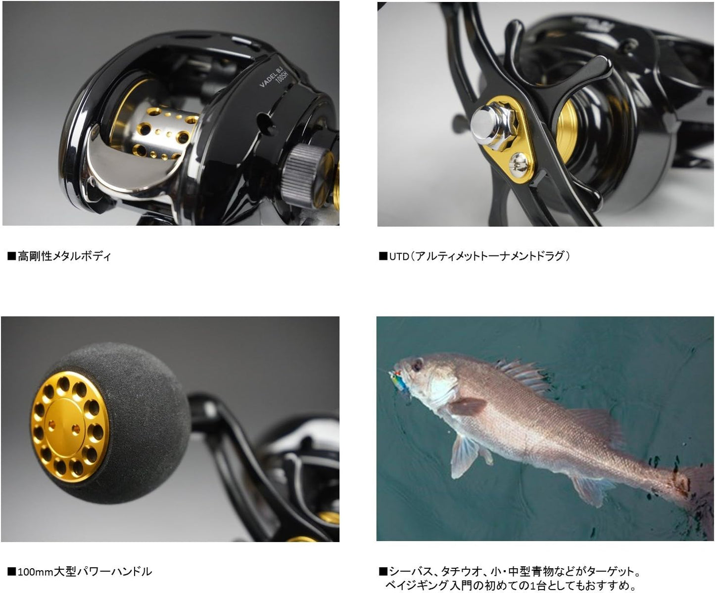 ダイワ(DAIWA) ベイトリール 16 ヴァデル BJ 100SH/SHL (右/左ハンドル) (2016モデル)