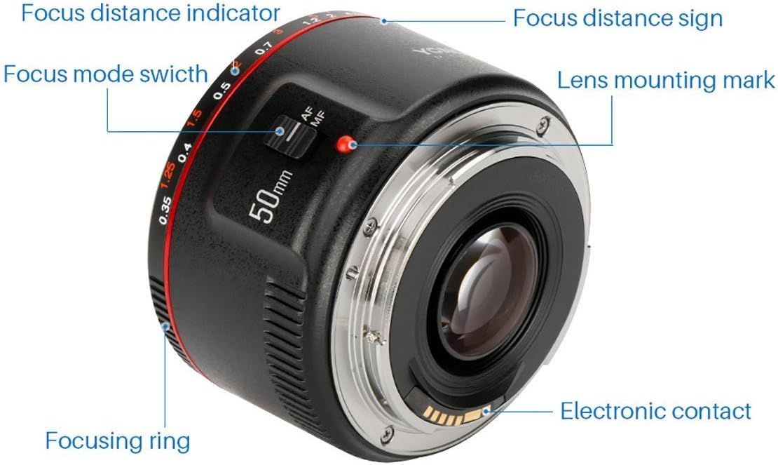 YONGNUO Canon YN50mm F1.8 II EF Mount Full Size RP/R5/R/1500D/80D/5DIV/5Dsr/7DII/5DIII/5DII/6D/650D/1200D/600D/600D/1100D/1000D/40D/500D/450D/33 50D/30 D/400D/10D/20D/300D...Compatible with Cameras