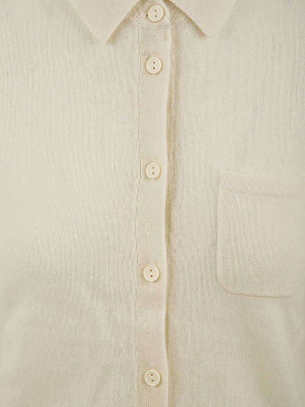 Monot 恥ずかしがり屋ではありません - Image 5