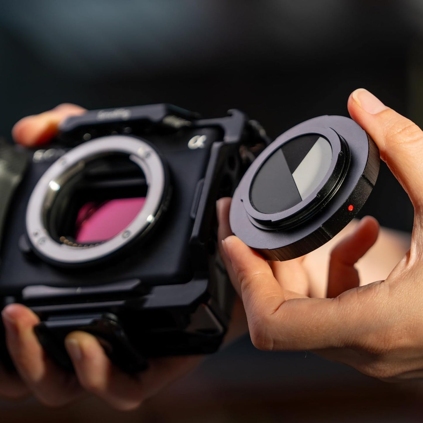 Freewell White Balance Lens Cap for Canon EF & RF Mounts - Precise Color Calibration