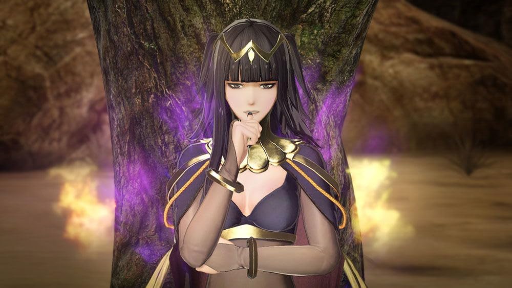 Newニンテンドー3DS専用 ファイアーエムブレム無双