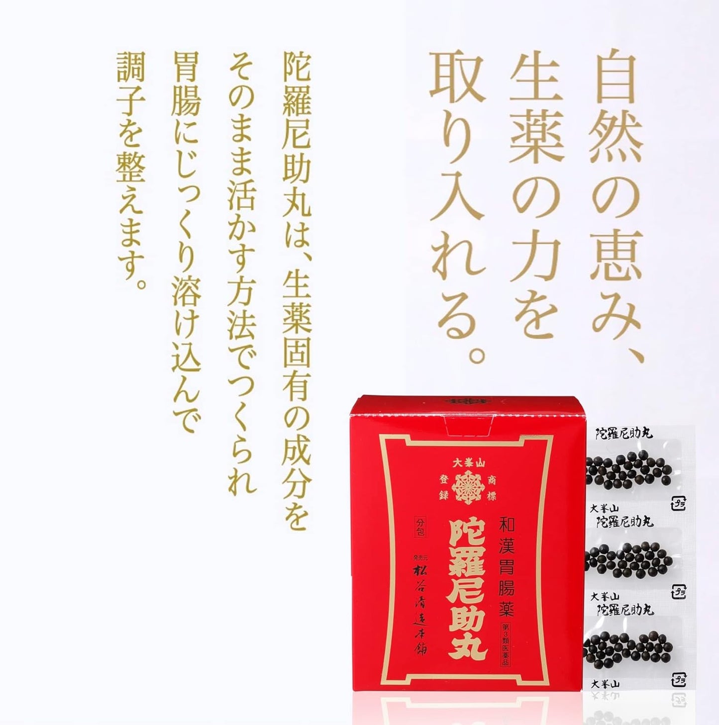 【第3類医薬品】陀羅尼助丸 分包 60包