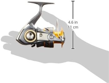 ダイワ(DAIWA) スピニングリール 17 ワールドスピンCF (2017モデル)