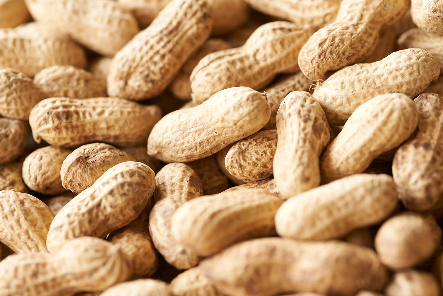 Mamesho Namagata Chiba Prefecture Yachimata-grown Peanuts Q Nuts Roasted Peanuts Q Nuts 210g Contract Farmers Only Used In-house Factory Production Roasted by Skilled Artisans