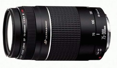 Canon EFレンズ EF75-300mm F4-5.6 IIIズームレンズ 望遠 並行輸入品 黒