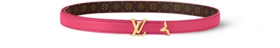 LOUIS VUITTON Pretty LV 20mm Reversible Belt - Image 5