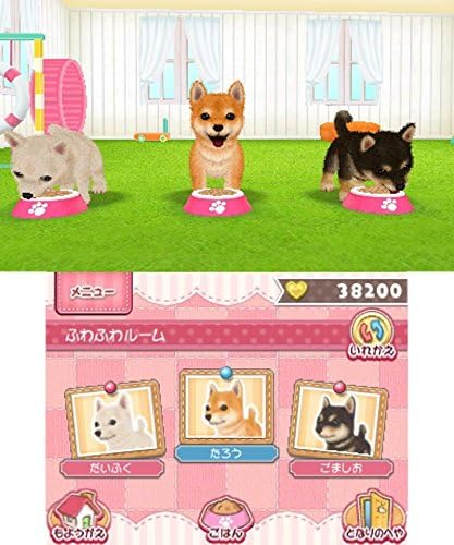 かわいいペットとくらそう! わんニャン&ミニミニアニマル - 3DS