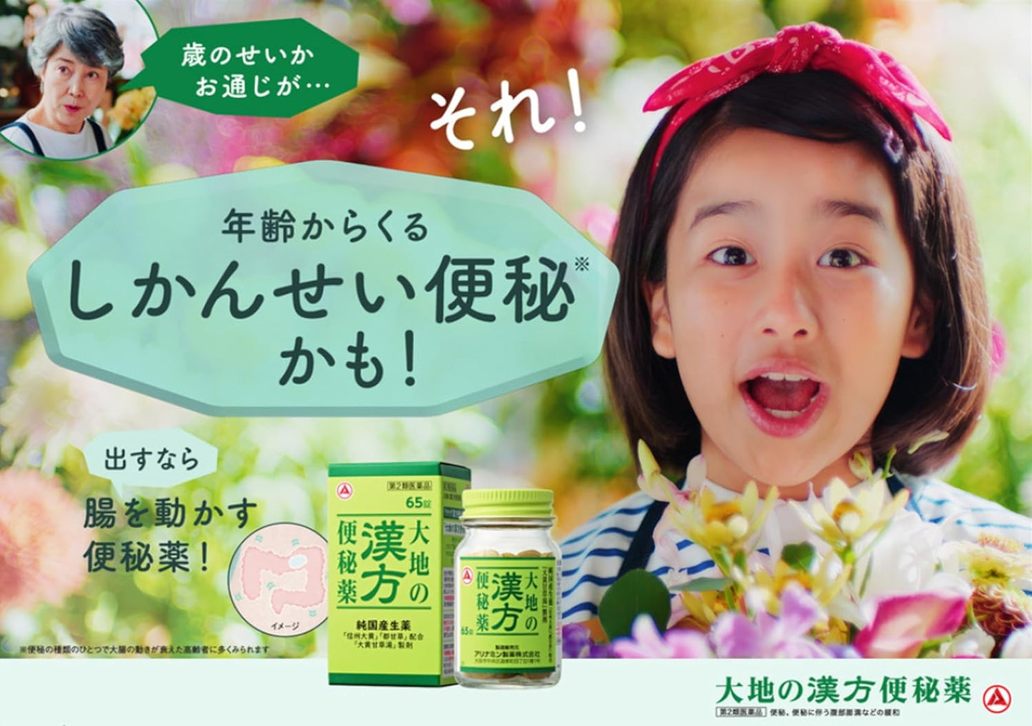 【第2類医薬品】大地の漢方便秘薬 65錠