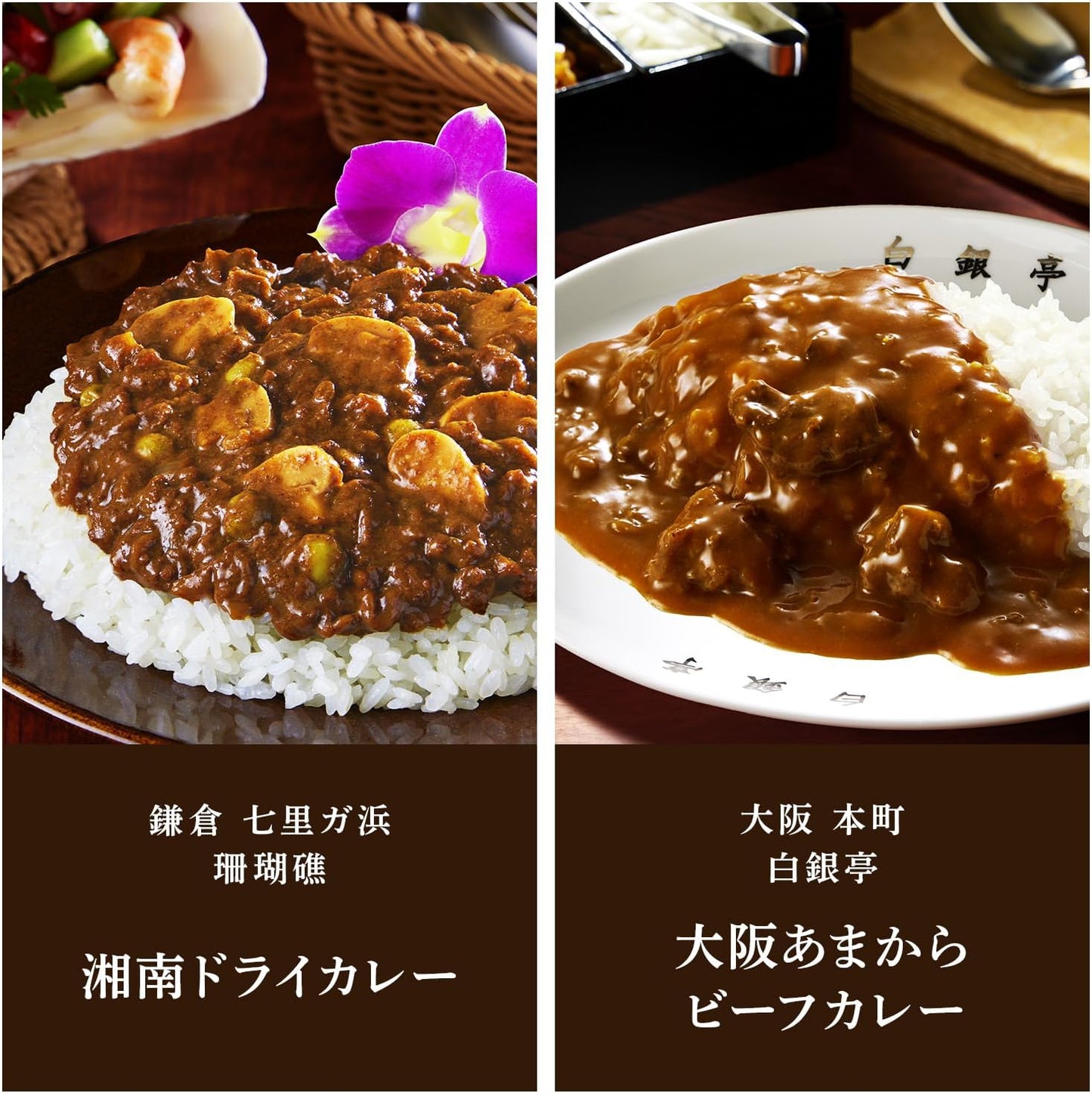 S&B エスビー食品 噂の名店シリーズ カレー&ハヤシ 全国10種セット※時期によりセット内容に変更あり【限定】