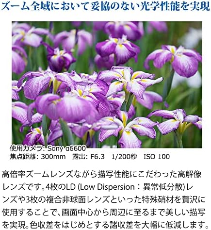 Tamron 18-300mm F3.5-6.3 Di III-A VC VXD for Sony E-Mount (B061S) Marmi Lens Protection Filter Set of 2