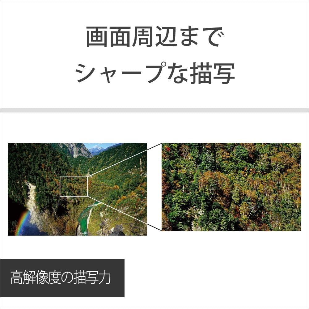 SONY Single Focus Wide Angle Lens Sonnar T* FE 1.38 inch (35mm) F2.8 ZA Full Size Compatible