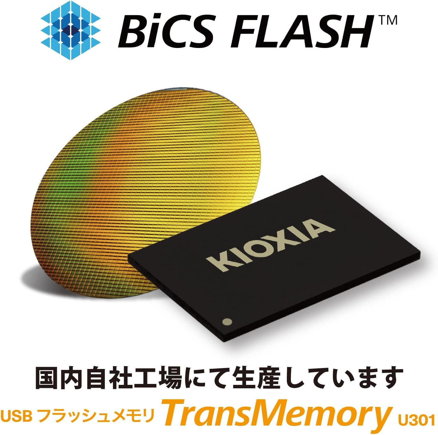 KIOXIA KLU301A256GW Former Toshiba Memory USB Flash Memory, 256 GB, USB3.2 Gen1, Made in Japan, Domestic Support, Genuine Product