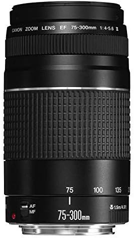 Canon EFレンズ EF75-300mm F4-5.6 IIIズームレンズ 望遠 並行輸入品 黒
