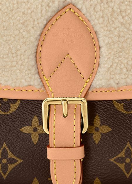 LOUIS VUITTON ディアヌ NM PM - Image 7