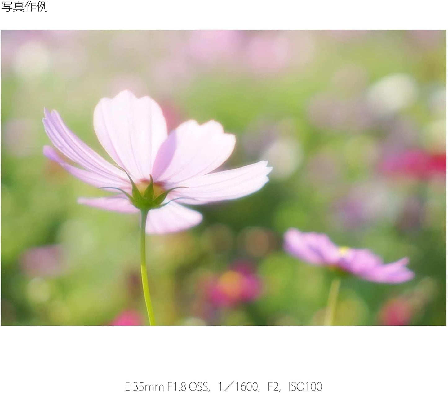 Sony SEL35F18 Camera Lense