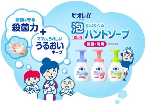Bioreu Foaming Hand Soap Pump, 8.5 fl oz (250 ml) (Set of 2)