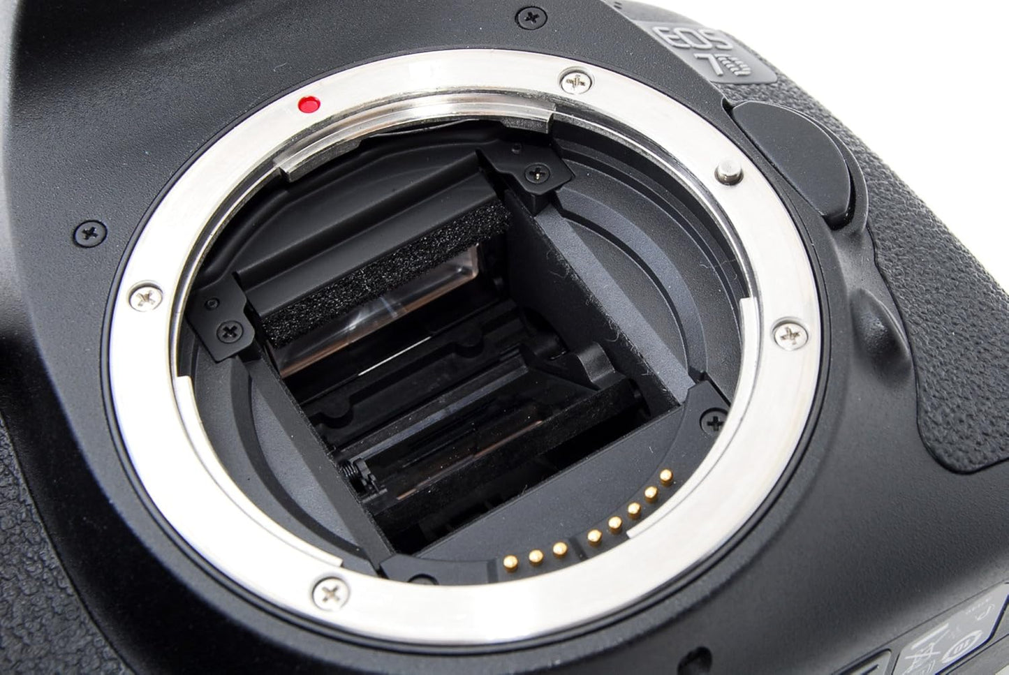 Canon Digital SLR Camera EOS 7D