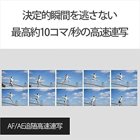 Sony Alpha 7 III Mirrorless Single Lens Digital Camera