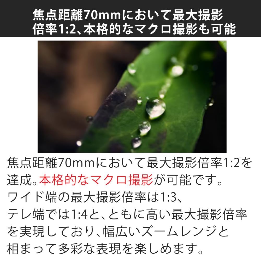 Sigma 16-300mm F3.5-6.7 DC OS(C) for Canon RF & Marumi Lens Protection Filter Set