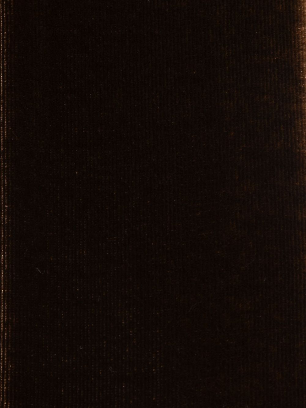 Emporio エンポリオアルマーニシルクブレンドスカーフ - Image 7