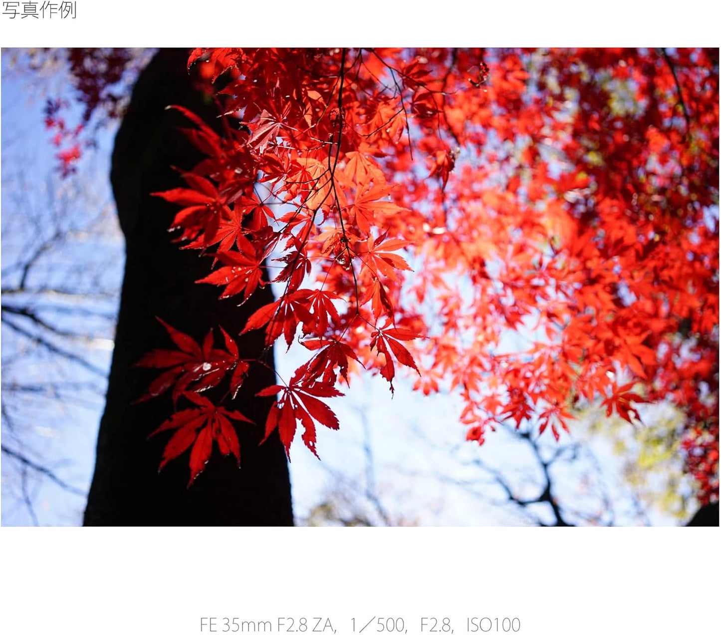 SONY Single Focus Wide Angle Lens Sonnar T* FE 1.38 inch (35mm) F2.8 ZA Full Size Compatible