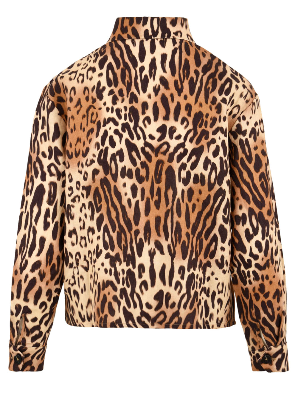 Monot 恥ずかしがり屋ではありません茶色 - Image 7