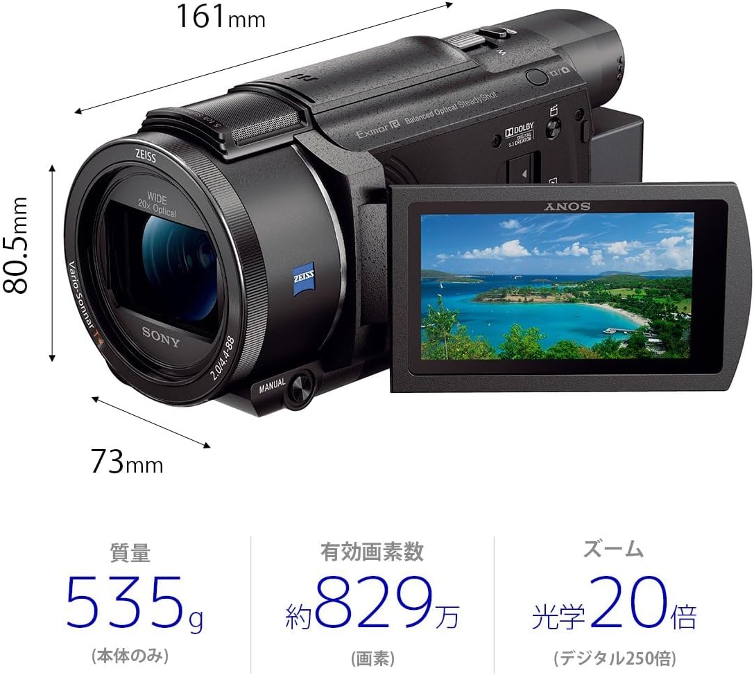 Sony FDR-AX60 4K 64 GB Video Camera 20x Optical Black