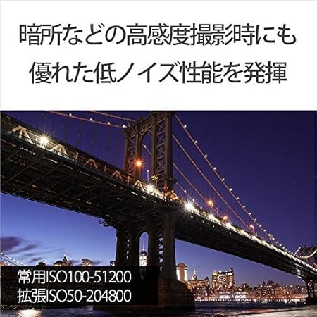 Sony Alpha 7 III Mirrorless Single Lens Digital Camera