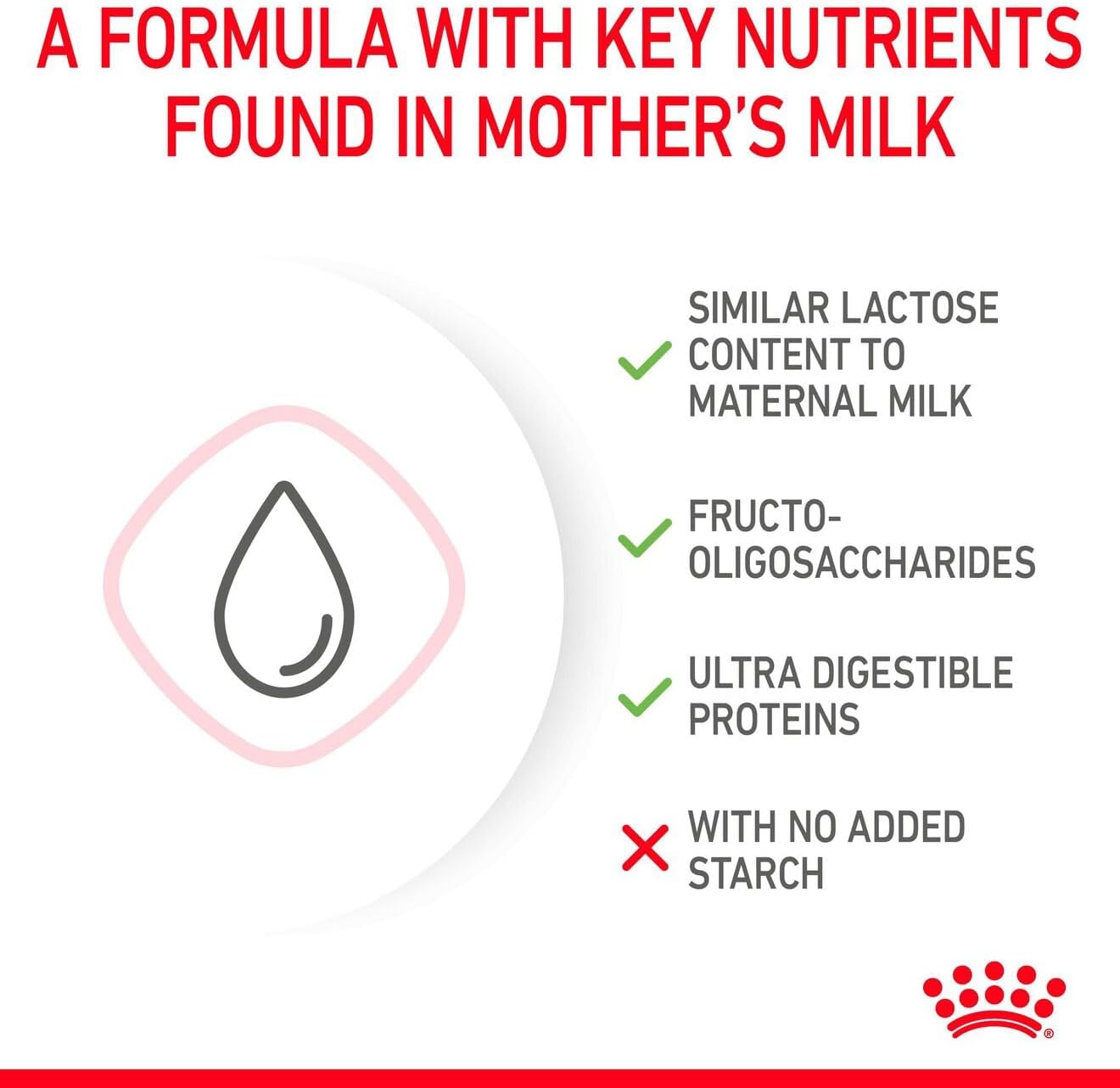 Royal Canin FHN Baby Cat Milk, 10.6 oz (300 g)
