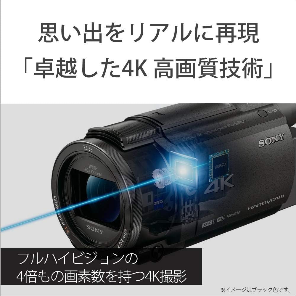 Sony FDR-AX60 4K 64 GB Video Camera 20x Optical Black