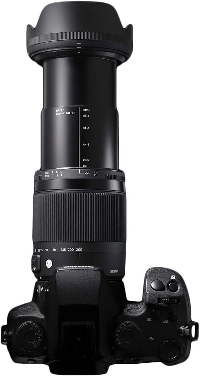Sigma 18-300mm F3.5-6.3 DC MACRO OS HSM