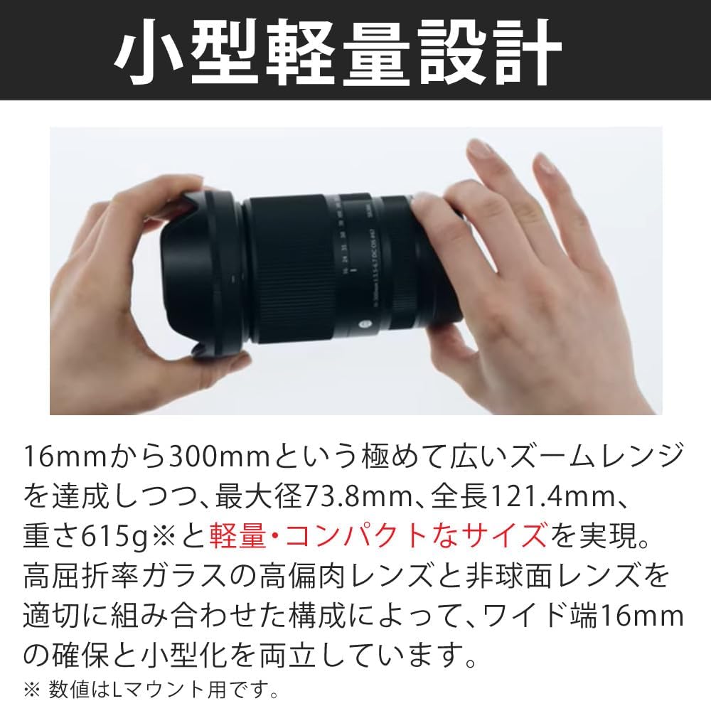 Sigma 16-300mm F3.5-6.7 DC OS(C) for Canon RF & Marumi Lens Protection Filter Set