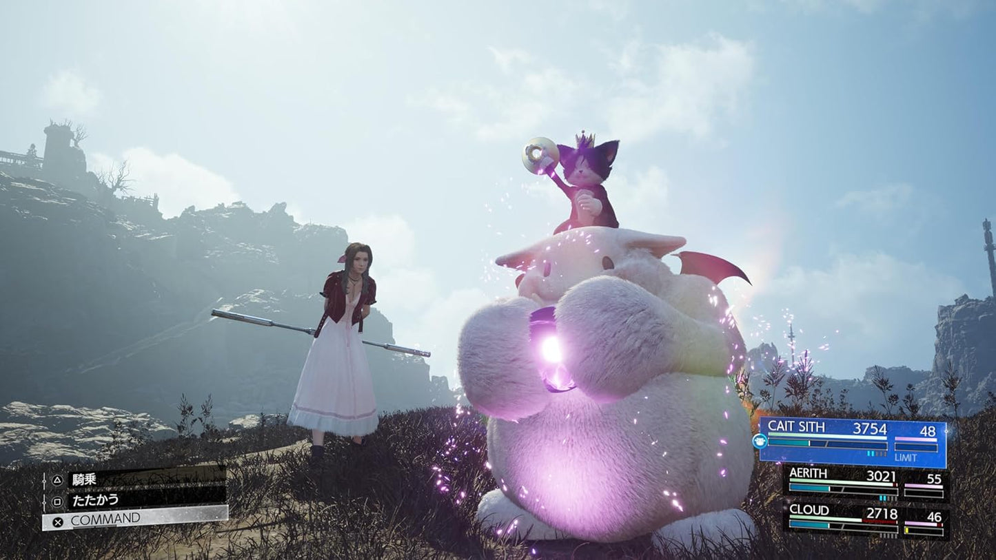 〔新価格版〕FINAL FANTASY VII REBIRTH -PS5