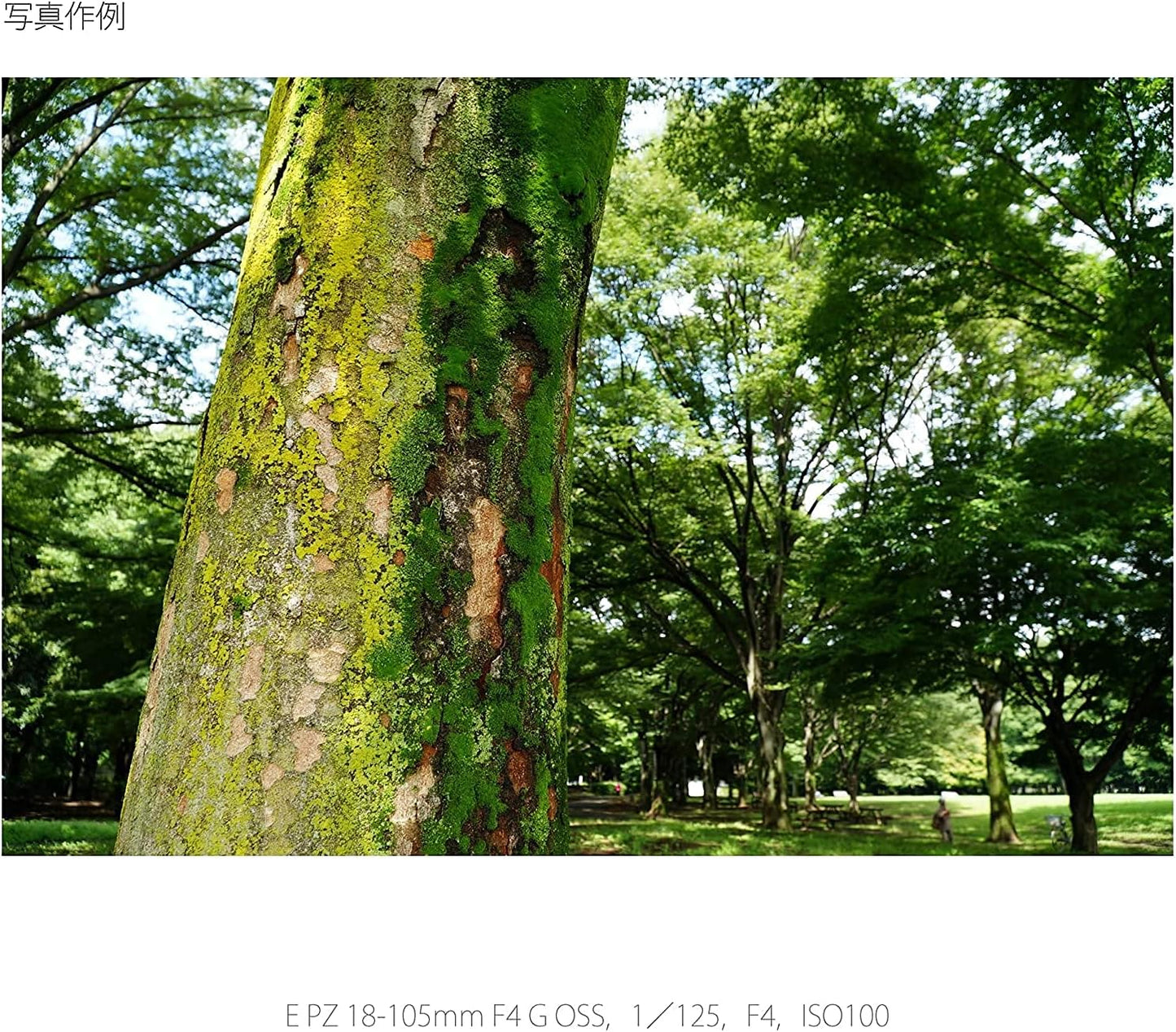 Sony SELP18105G E PZ 18 - 105 mm F4 G OSS Lens *Lens for E-mount Cameras (APS-C Size)