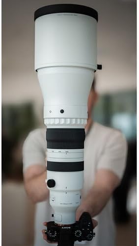 Sigma 300-600mm f/4 DG OS スポーツレンズ Lマウントミラーレスカメラ用