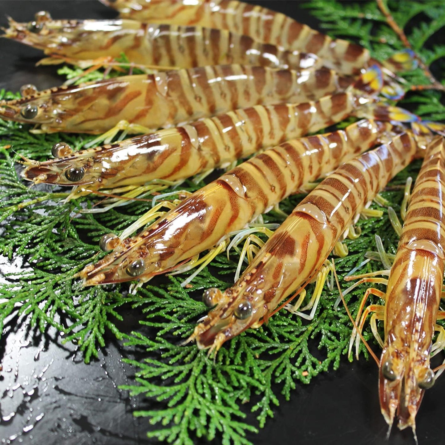 Kofukudo Shrimp Shrimp Gift Set, Set of 16