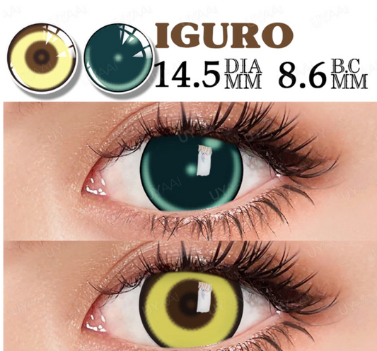 YOUPLUS 1年仕様カラコン 両目ワンペア Iguro