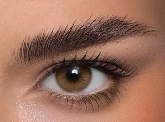 Anesthesia Addict Castano 2 lenses 6ヶ月仕様