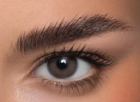 Anesthesia Addict Terra 2 lenses 6ヶ月仕様