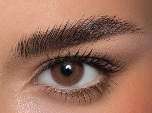 Anesthesia Addict Marron 2 lenses 6ヶ月仕様