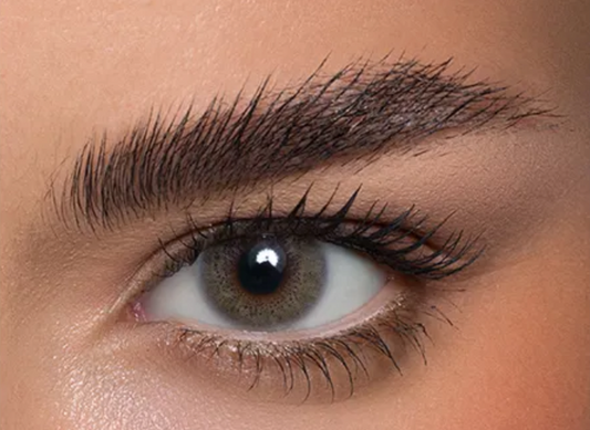 Anesthesia Addict Grigio 2 lenses 6ヶ月仕様