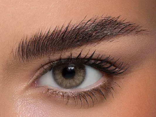 Anesthesia Addict Crema 2 lenses 6ヶ月仕様