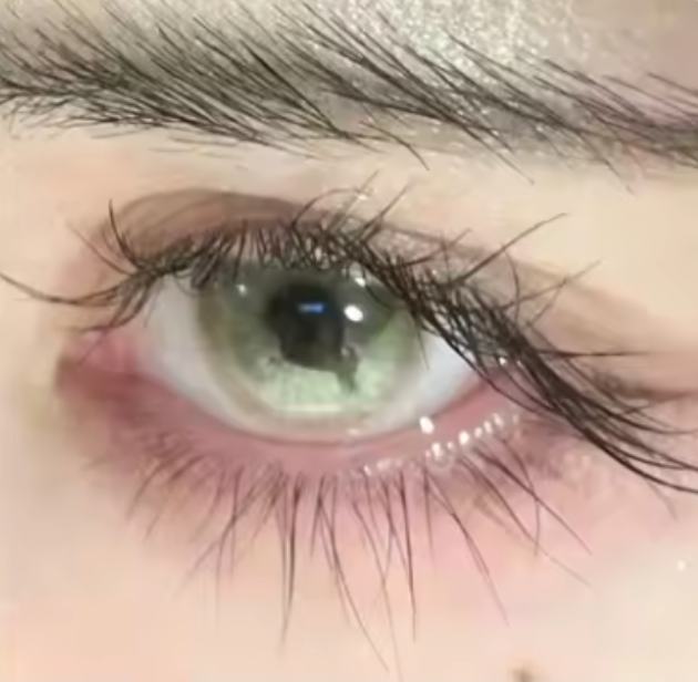 🦋蝶が羽ばたく、幻想デザインカラコン — 新発売🦋