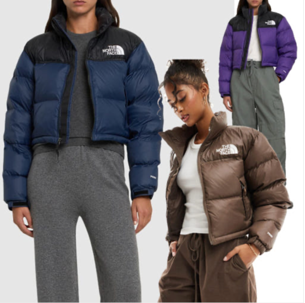 THE NORTH FACE Short nupsi Down Navy