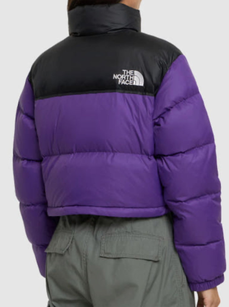 THE NORTH FACE Short nupsi Down Purple