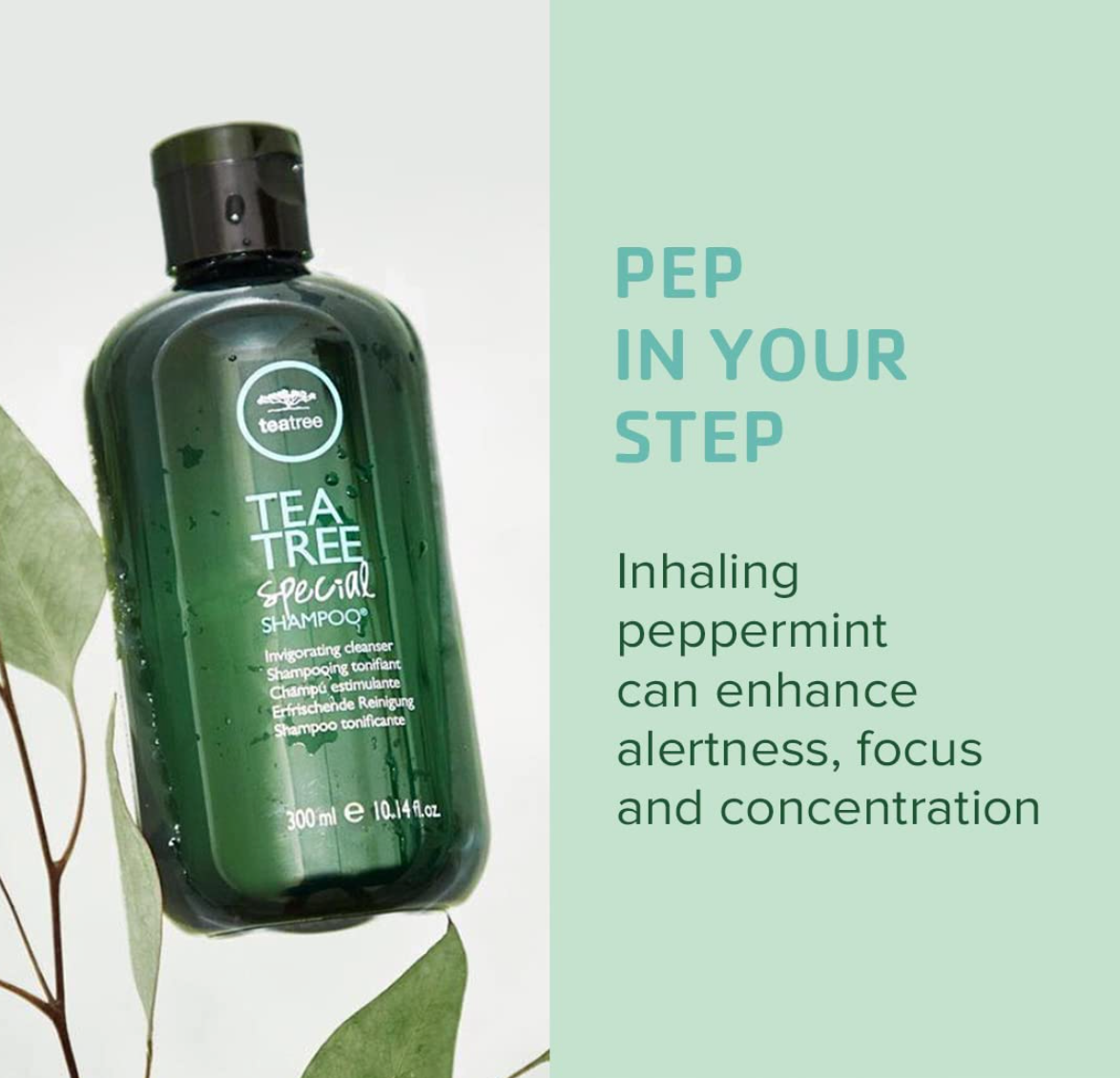 Tea Tree Special Shampoo, Deep Cleans, Refreshes Scalp, For All Hair Types, Especially Oily Hair 16.9 oz.