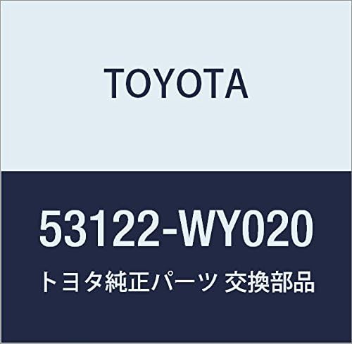 Genuine Toyota Radiator Grille Finish Plate LH Occitane Part Number 53122-WY020