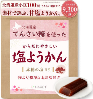 Wellsweet Salted Yōkan Hokkaido Small Red Beans 100% × Cane Sugar Stick Individually Wrapped Mini Yōkan 20g×10 Sticks