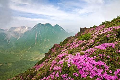 【日本の風景／地名のポストカード】大分県平治岳 桃色のミヤマキリシマと九重の山並み はがき お土産 ハガキ 撮影/絶景.com